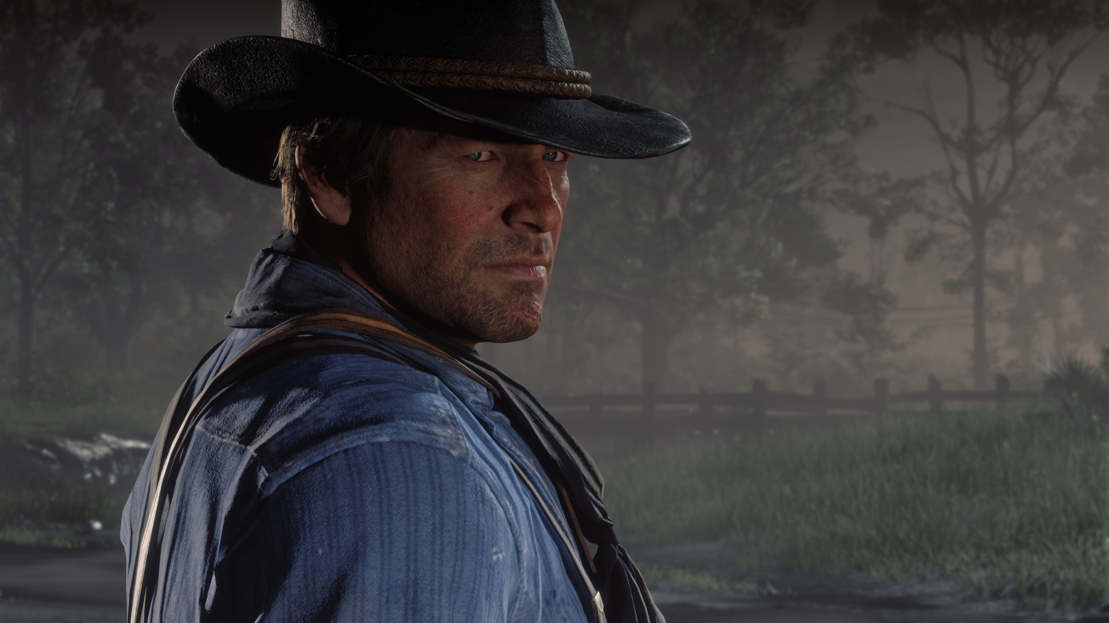 Red redemption 2 стим фото 19