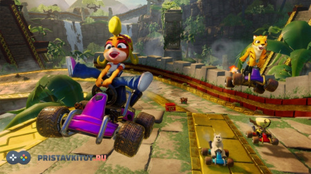 Crash Team Racing Nitro-Fueled (PS4)