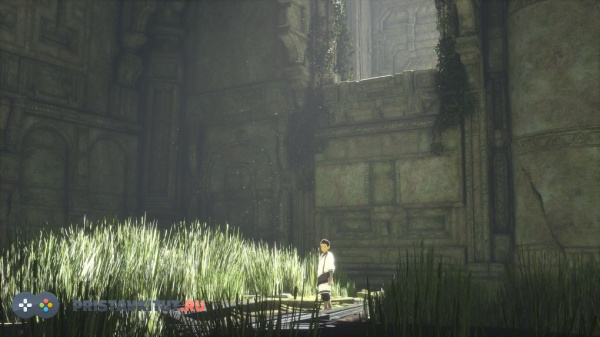 The Last Guardian. Последний хранитель (PS4)