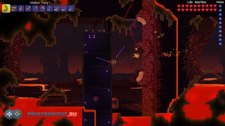 Terraria (PS4)