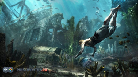 Assassins Creed 4: Black Flag Jackdaw Edition (Черный флаг) (PS4)