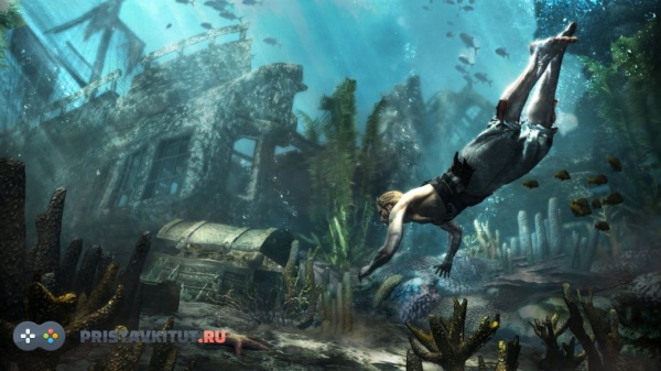 Assassins Creed 4: Black Flag (Черный флаг) (PS4) Assassins Creed 4: Black Flag (Черный флаг) (PS4)