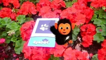 EyePet: Приключения (PSP) 