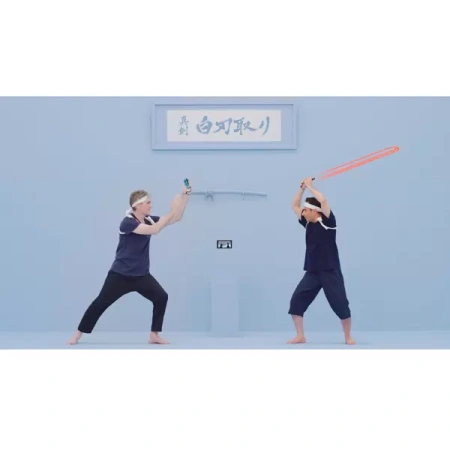 1-2 Switch (Nintendo Switch)