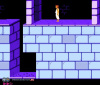 Prince of Persia 8 bit