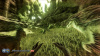 ARK: Survival Evolved (PS4)