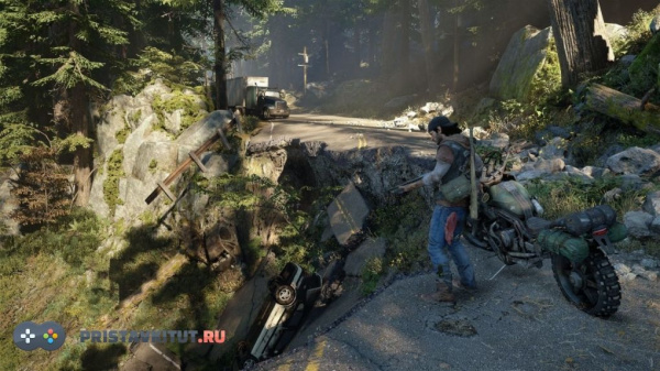 Days Gone (Жизнь после)