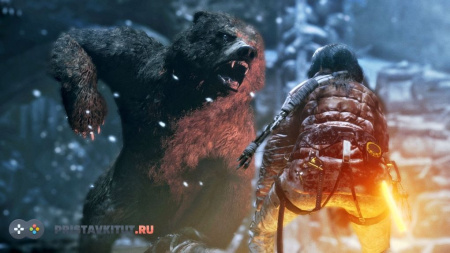 Rise of the Tomb Raider: 20-летний юбилей (PS4)