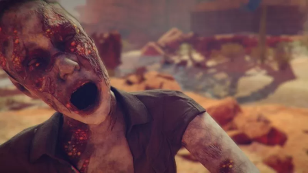 Arizona Sunshine (PS4) 