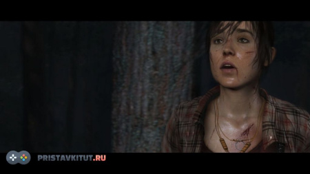 Heavy Rain и За гранью: Две души. Коллекция