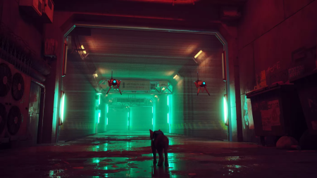 Stray (PS5) [Б/У]