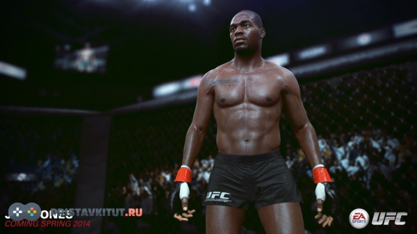 EA Sport UFC (PS4) [Б/У]