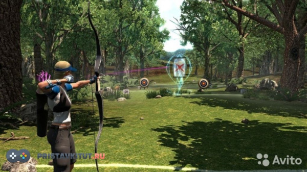 Move Starter Disc (PS3) [Б/У]