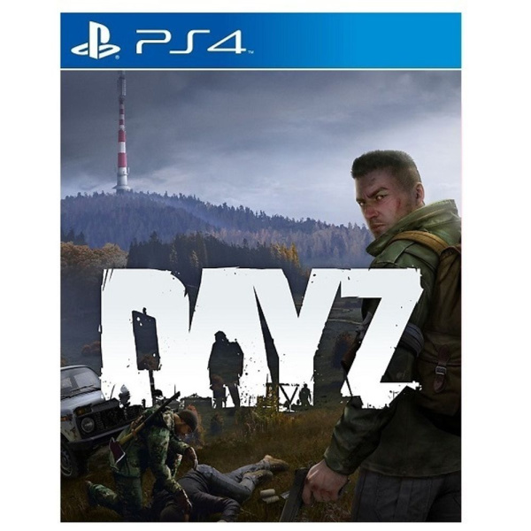 DayZ (PS4)