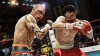 Fight Night Champion (PS3) [Б/У]