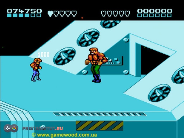 Battletoads and Double Dragon 3