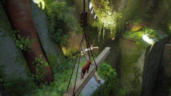 Stray (Nintendo Switch)