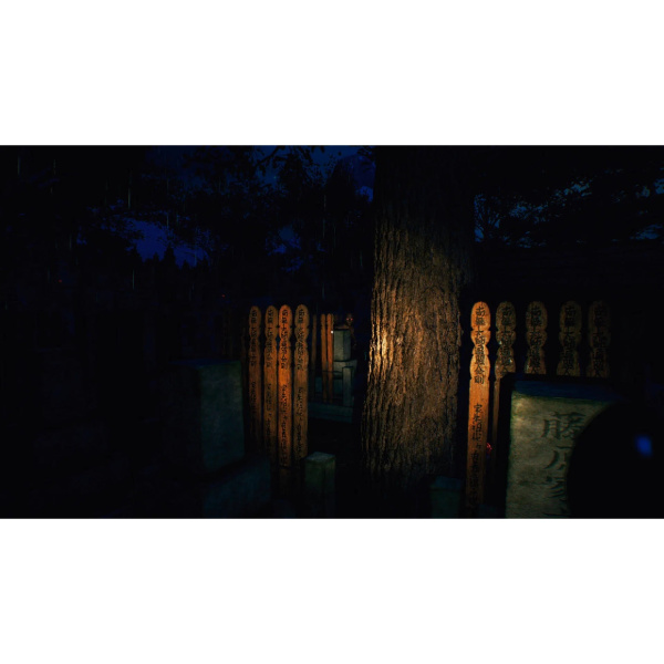 The Sinking Forest (PS5)