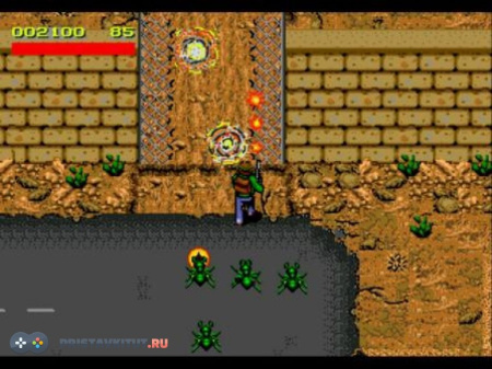 It Came from the Desert