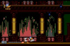 Donald in Maui Mallard (SEGA)
