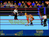 Super Wrestle mania (sega)