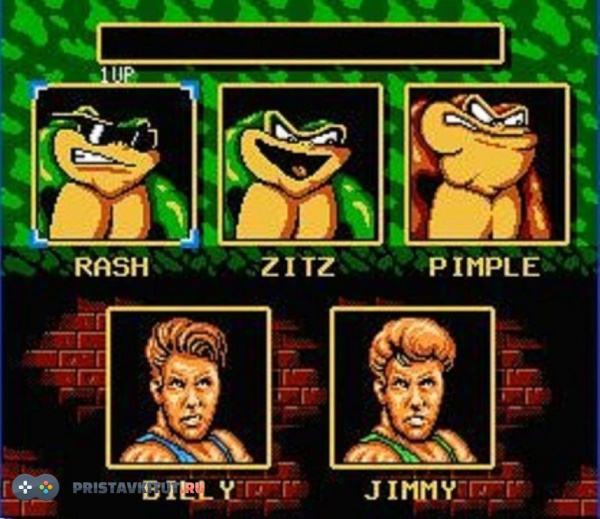 Battletoads and Double Dragon 3