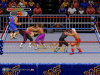 WWF Royal Rumble
