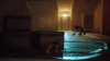 Stray (PS5) [Б/У]