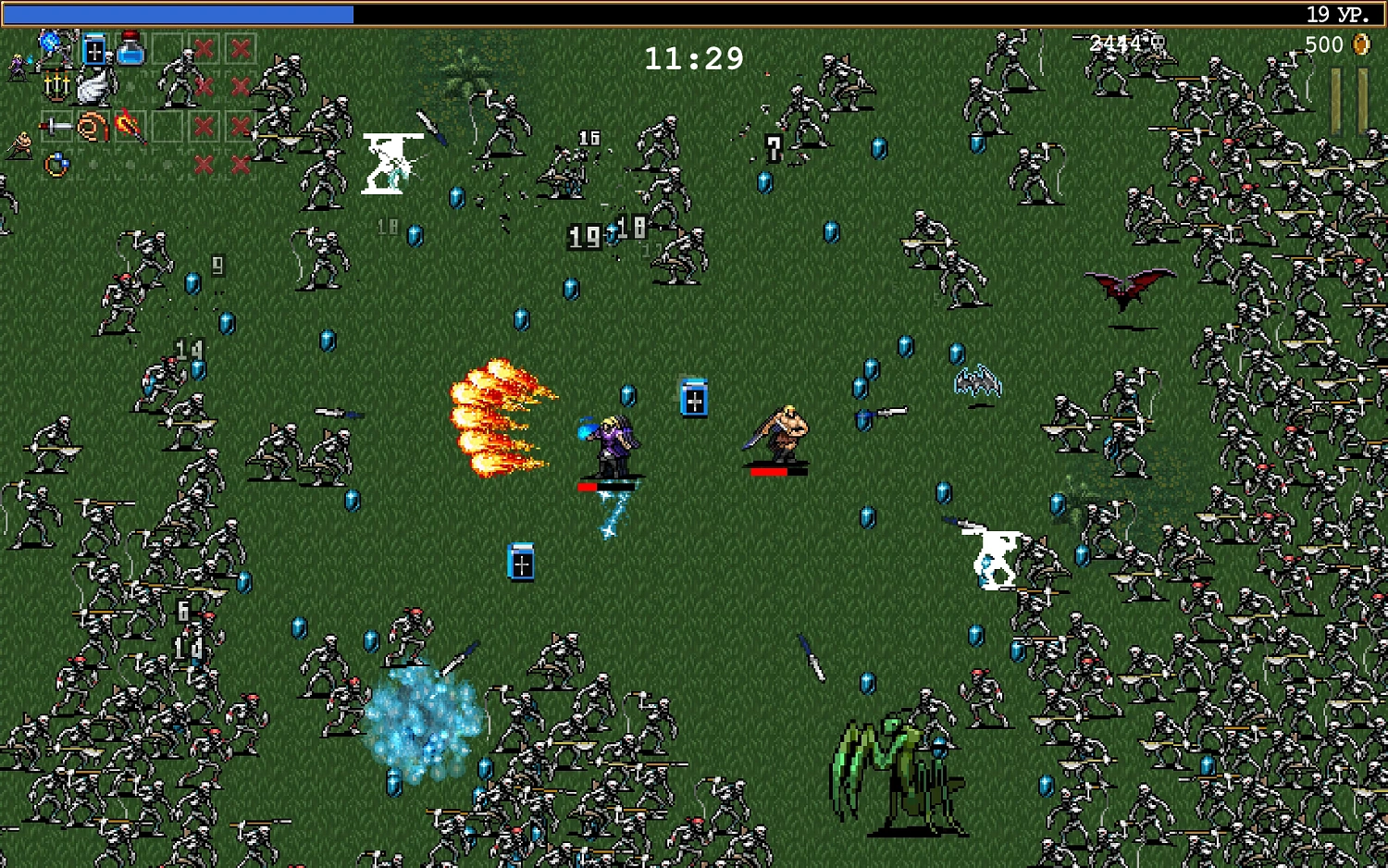 Vampire Survivors (NSW)