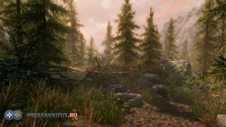 The Elder Scrolls V: Skyrim. Special Edition (Ps 4)