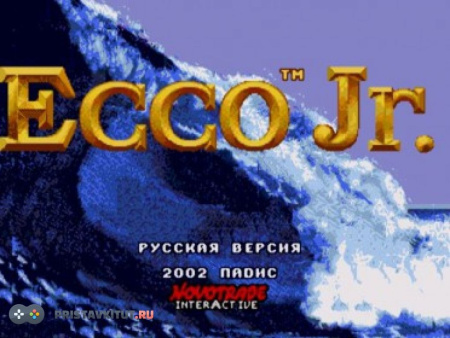 Ecco JR