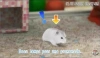 Petz my baby Hamster (PSP) [Б/У]